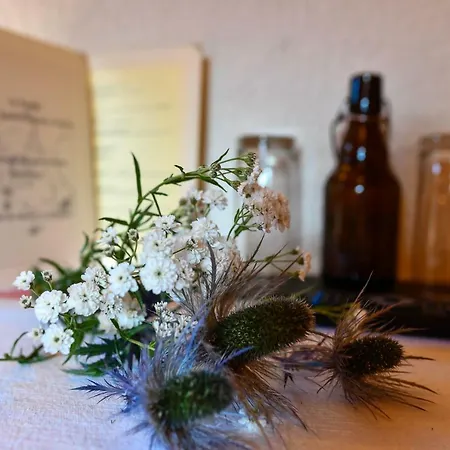 De Moiry Supérieur Mini-hôtel 3*