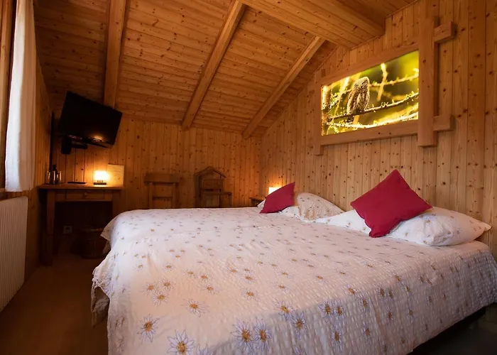 De Moiry Superieur Inn 3*