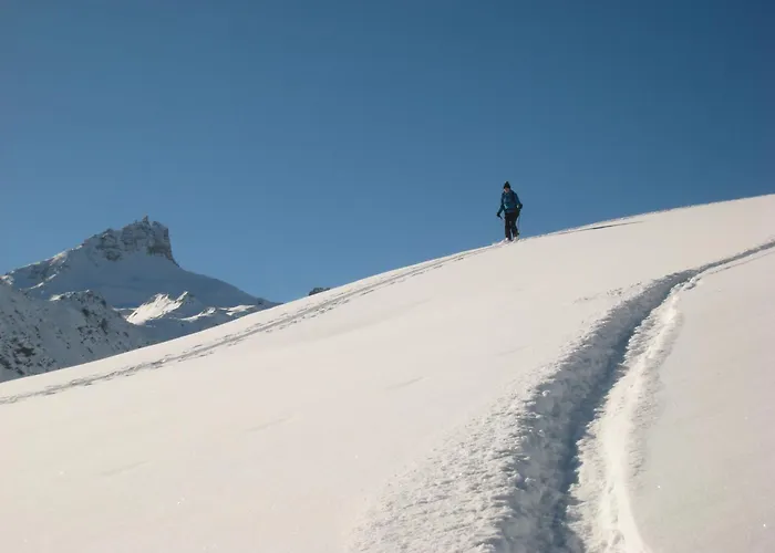 Han/Misafirhane De Moiry Superieur Grimentz