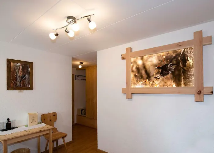 بيت ريفي De Moiry Superieur غريمينتز