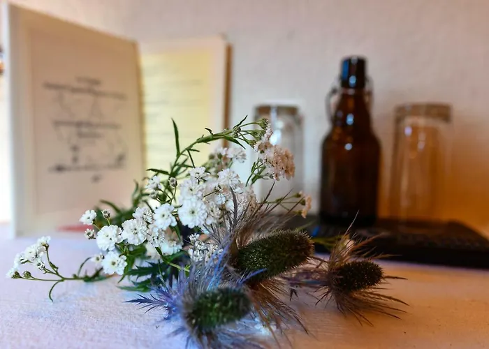 De Moiry Superieur بيت ريفي 3*